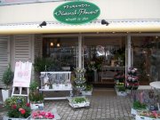 「ナチュラルフラワー」　（熊本県菊池市）の花屋店舗写真1